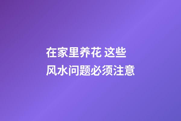 在家里养花 这些风水问题必须注意